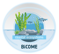 BiCOME logo